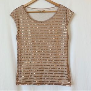 Banana Republic sequins striped top